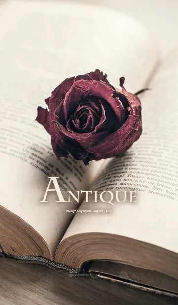 [LINE着せ替え] ANTIQUEの画像1