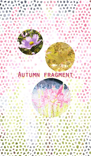 [LINE着せ替え] 秋の欠片～Autumn fragment～の画像1