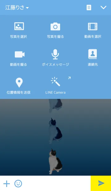 [LINE着せ替え] 我が家の猫の画像4