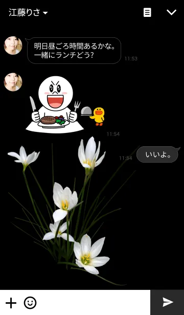 [LINE着せ替え] Rain Lily ~タマスダレ~の画像3