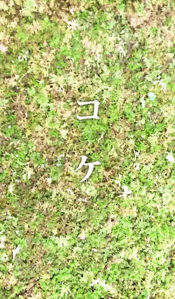 コケ-MOSSの着せ替えメイン画像