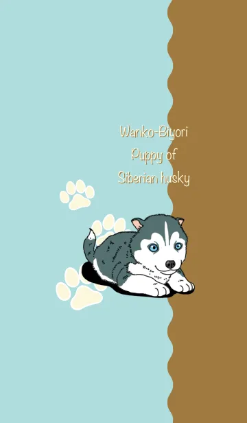 [LINE着せ替え] わんこ日和 シベリアンハスキーの仔犬の画像1