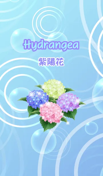 [LINE着せ替え] 雨の日の紫陽花の画像1