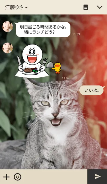 [LINE着せ替え] The cat filmの画像3