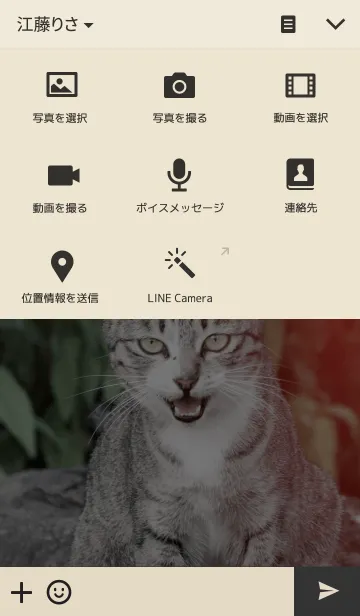 [LINE着せ替え] The cat filmの画像4