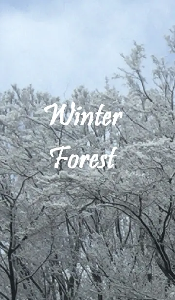 [LINE着せ替え] Winter Forestの画像1