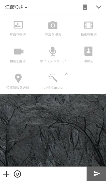 [LINE着せ替え] Winter Forestの画像4