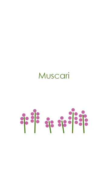 [LINE着せ替え] Muscari ~ムスカリ~の画像1