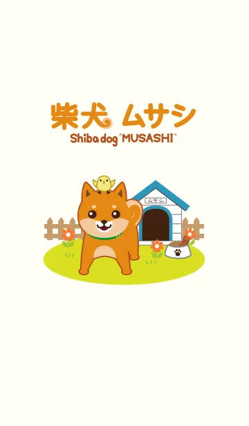 柴犬「ムサシ」1のLINE着せ替え