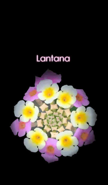 [LINE着せ替え] Lantanaの画像1