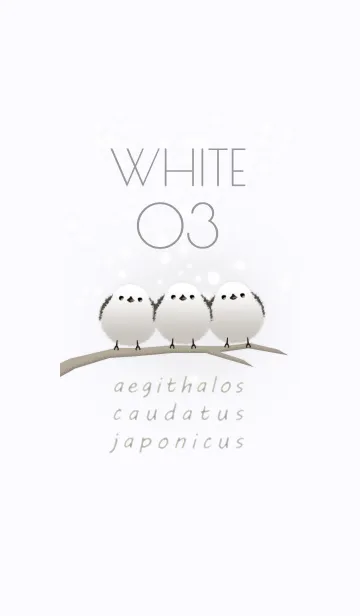 [LINE着せ替え] シマエナガ/白 03の画像1