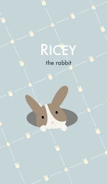 [LINE着せ替え] Ricey the rabbitの画像1