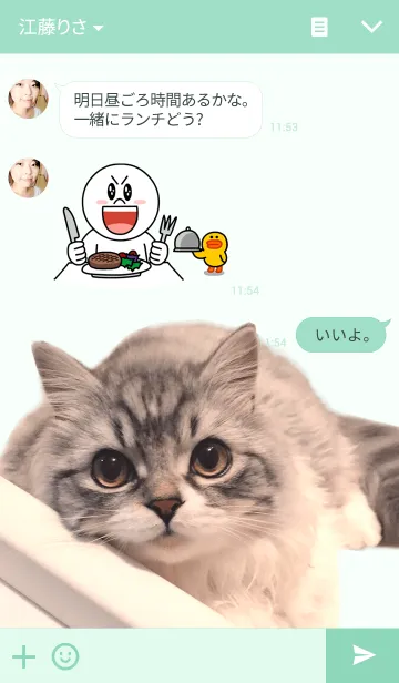 [LINE着せ替え] 猫部日和の画像3