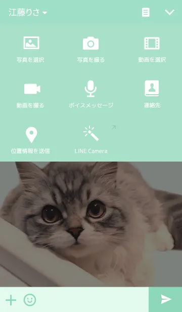 [LINE着せ替え] 猫部日和の画像4