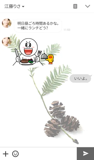 [LINE着せ替え] Metasequoia cones ~メタセコイアの毬果~の画像3