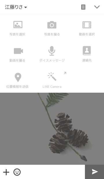 [LINE着せ替え] Metasequoia cones ~メタセコイアの毬果~の画像4