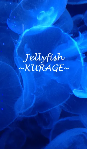 [LINE着せ替え] Jellyfish～クラゲ～の画像1