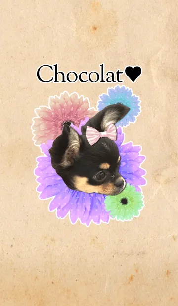[LINE着せ替え] Chocolatの画像1