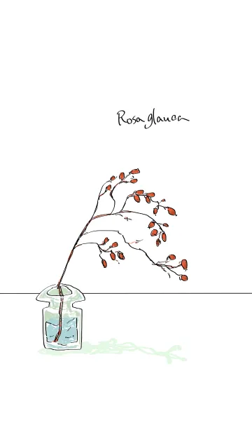 [LINE着せ替え] Rosa glaucaの画像1