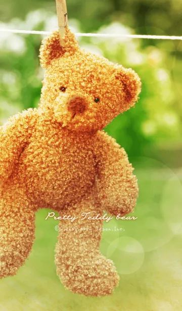 [LINE着せ替え] Pretty Teddy bearの画像1