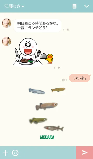 [LINE着せ替え] MEDAKA☆めだかの画像3