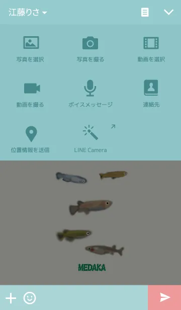 [LINE着せ替え] MEDAKA☆めだかの画像4