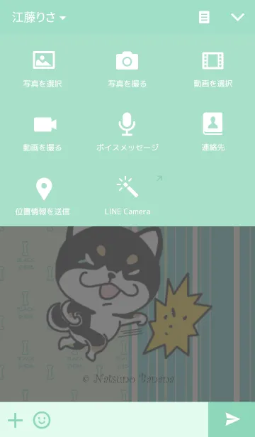 [LINE着せ替え] ブラックしば ミントグリーンの画像4