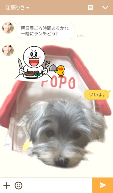 [LINE着せ替え] ポポといっしょの画像3