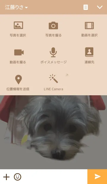 [LINE着せ替え] ポポといっしょの画像4