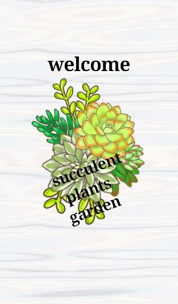 [LINE着せ替え] 多肉植物アラカルトの画像1