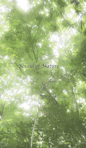 [LINE着せ替え] Sound of Natureの画像1