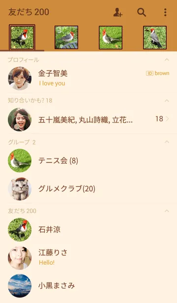 [LINE着せ替え] ハワイの赤い鳥の画像2