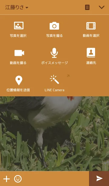 [LINE着せ替え] ハワイの赤い鳥の画像4