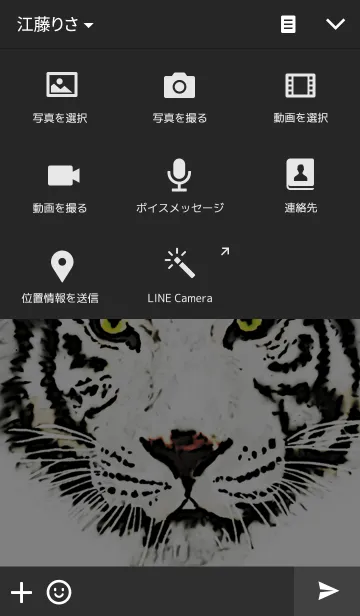[LINE着せ替え] COOL TIGERの画像4