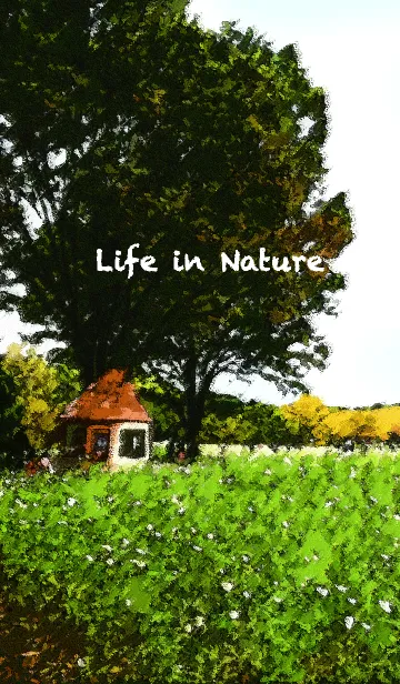[LINE着せ替え] Life in Natureの画像1
