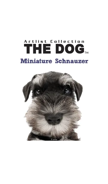 [LINE着せ替え] THE DOG ミニチュア•シュナウザーの画像1
