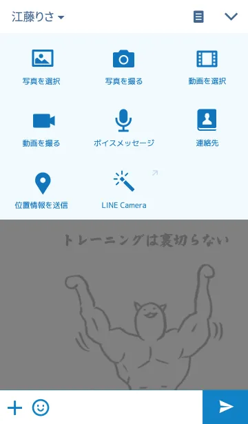 [LINE着せ替え] 筋肉質な猫の画像4