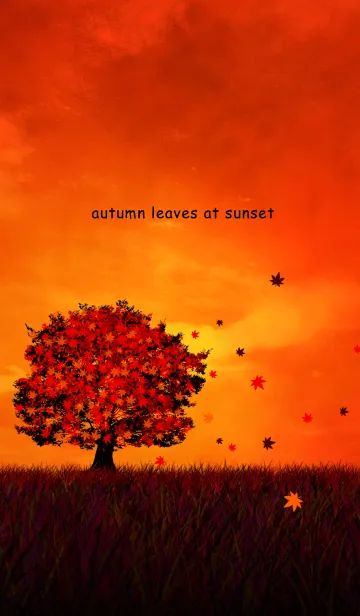 [LINE着せ替え] autumn leaves at sunsetの画像1