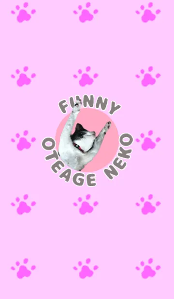 [LINE着せ替え] おてあげねこの画像1