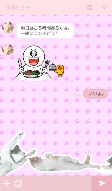 [LINE着せ替え] おてあげねこの画像3