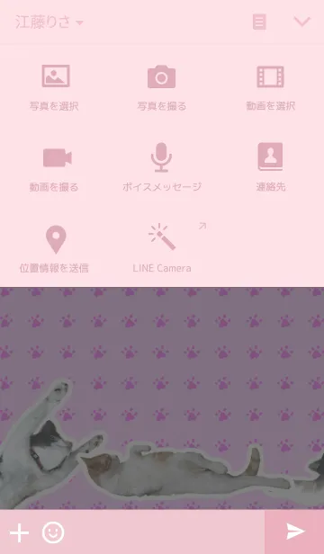 [LINE着せ替え] おてあげねこの画像4