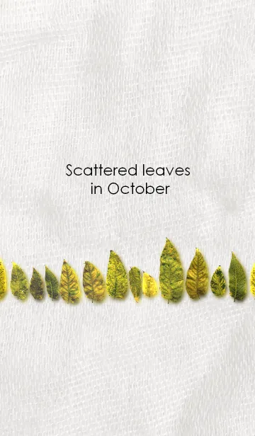 [LINE着せ替え] Scattered leaves in October ~10月の落葉~の画像1