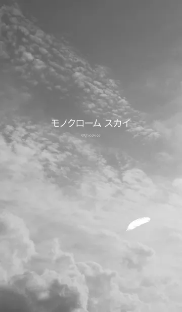 モノクローム スカイの着せ替えメイン画像