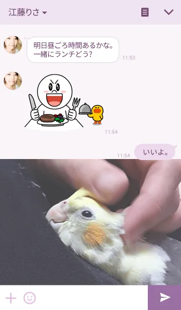 [LINE着せ替え] オカメインコのぷぅの画像3