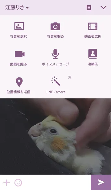 [LINE着せ替え] オカメインコのぷぅの画像4