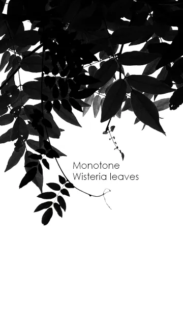 [LINE着せ替え] Monotone Wisterialeavesの画像1