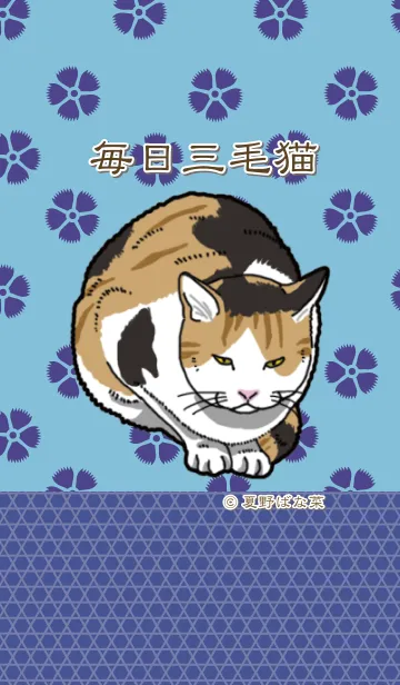 [LINE着せ替え] 毎日三毛猫 2の画像1