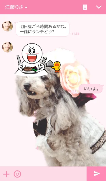 [LINE着せ替え] オシャレわんこ トイプードルの画像3