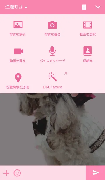 [LINE着せ替え] オシャレわんこ トイプードルの画像4