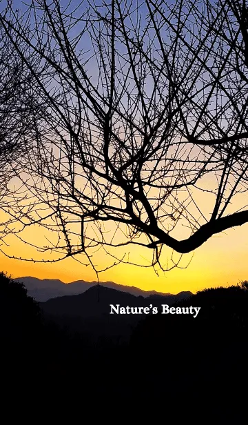 [LINE着せ替え] Nature's Beautyの画像1